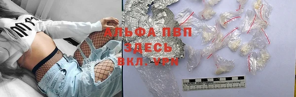 шишки Аркадак