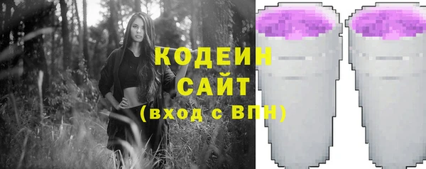 шишки Аркадак
