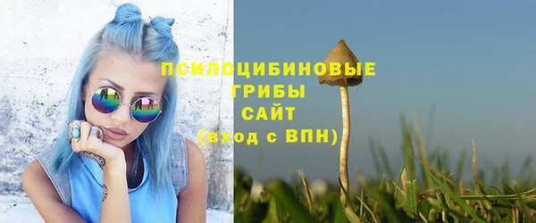 шишки Аркадак