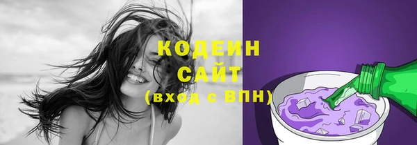 шишки Аркадак